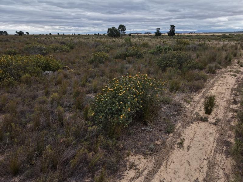 1 Bedroom Property for Sale in Riversdale Western Cape